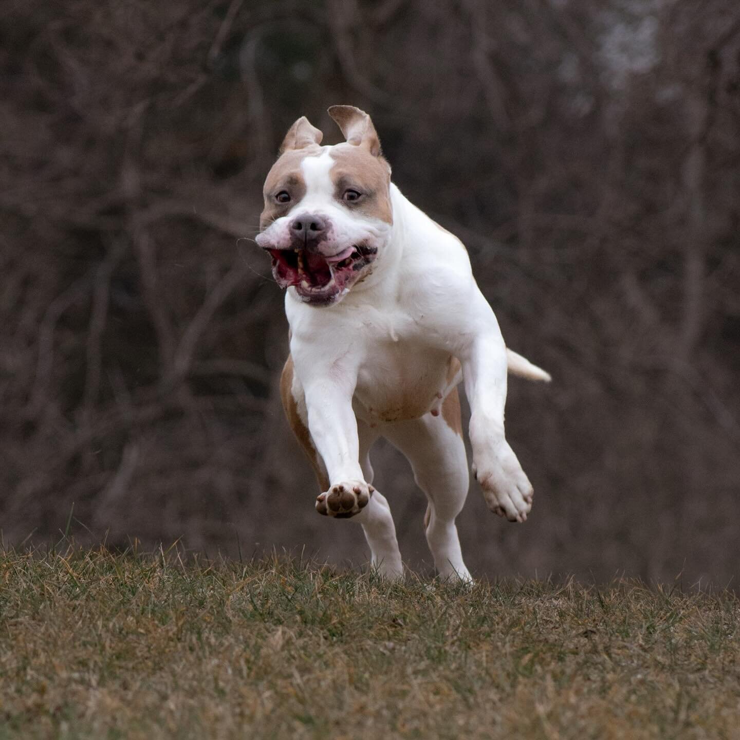 I think we&rsquo;re all running into the weekend like Spirit ✨