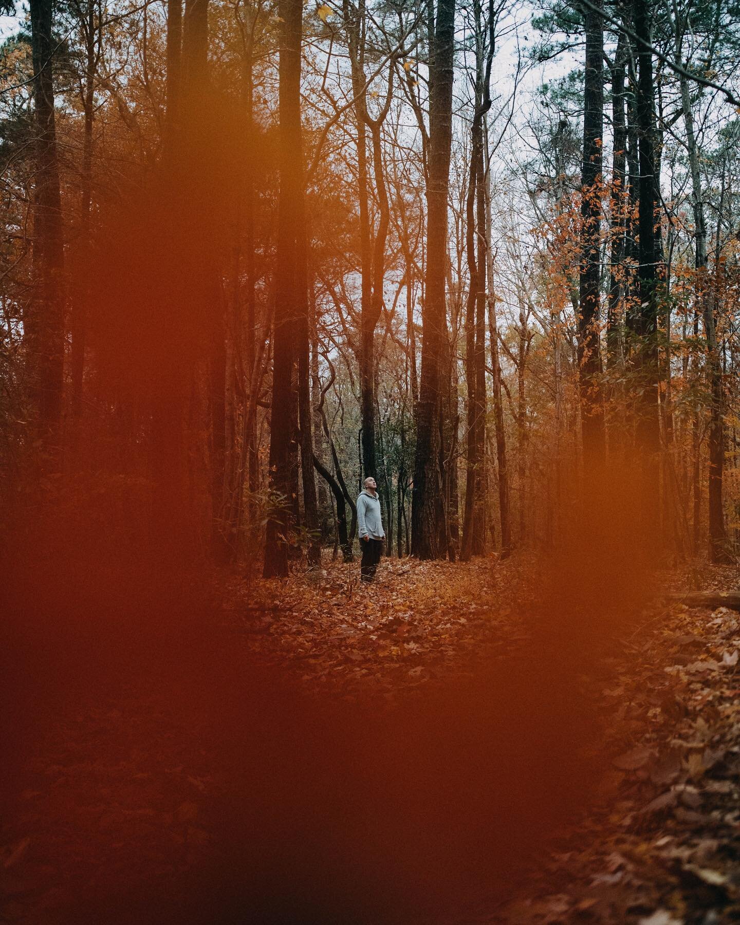 Fall photos I never posted!
.
.
.
.
.
.
.
.
.
.
.
.
.
.
.
.
.
.
.
.
.
.
.
#virginiabeachphotographer #portriatphotographer 
#couplesphotographer #hamptonroadsphotographer  #creativeportriatphotographer  #bandphotographer  #norfolkvirginiaphotographer