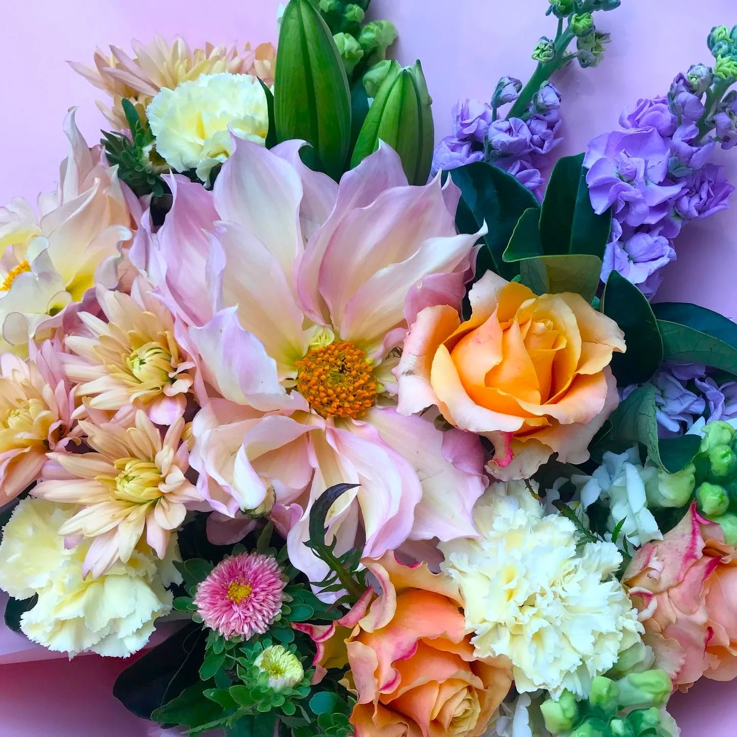 Luxe Botanica - Coorparoo Florist
