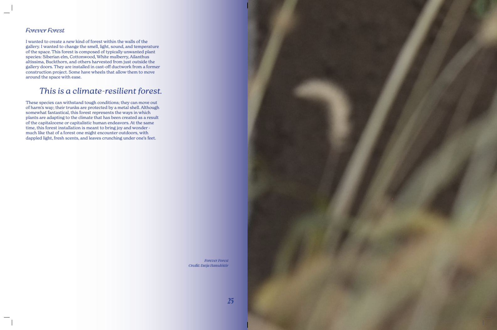 Screenshot 2025-09-15 at 8.06.29 PM.png