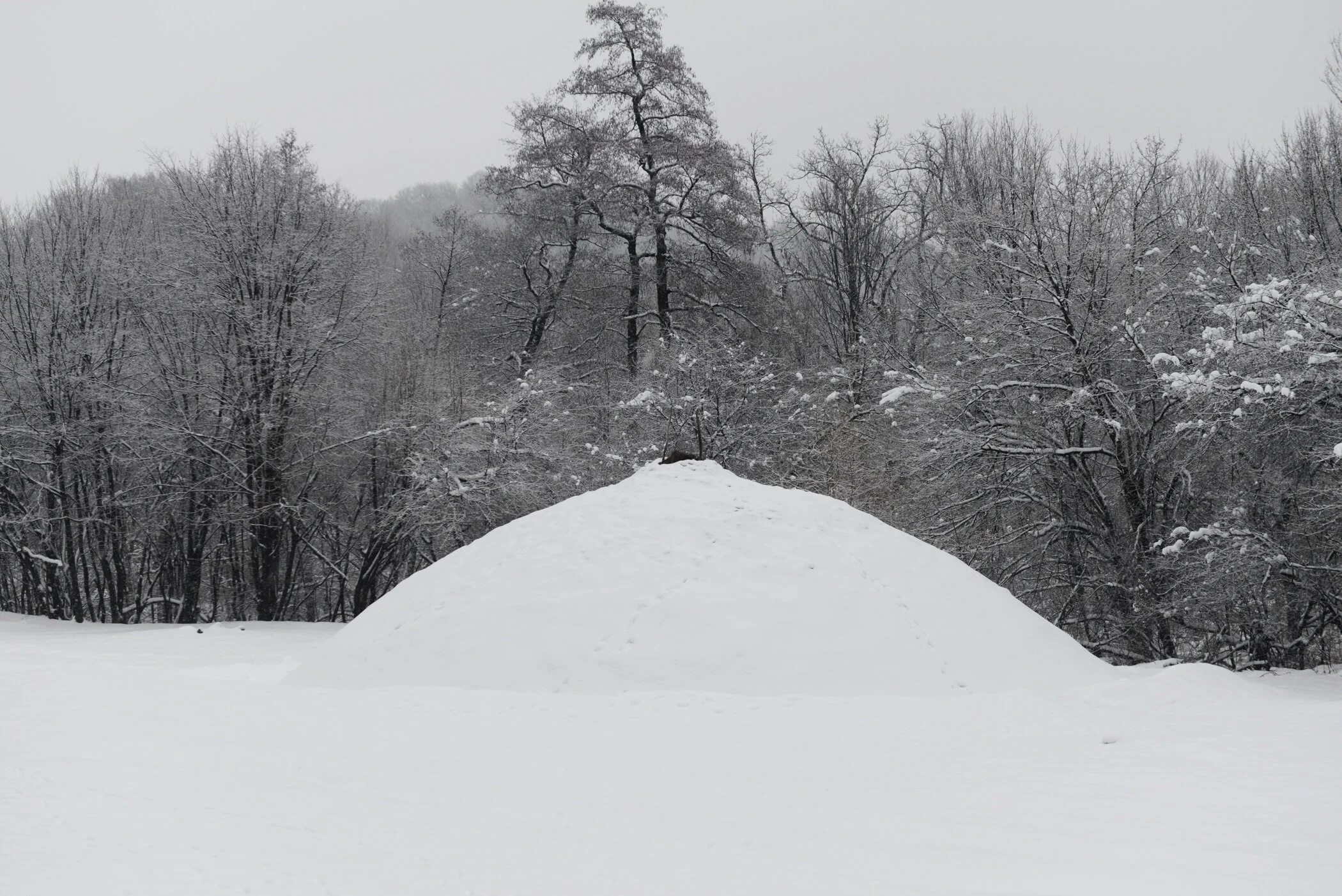 Aniko_Antalfi_Water is taught by thirst 3.JPG