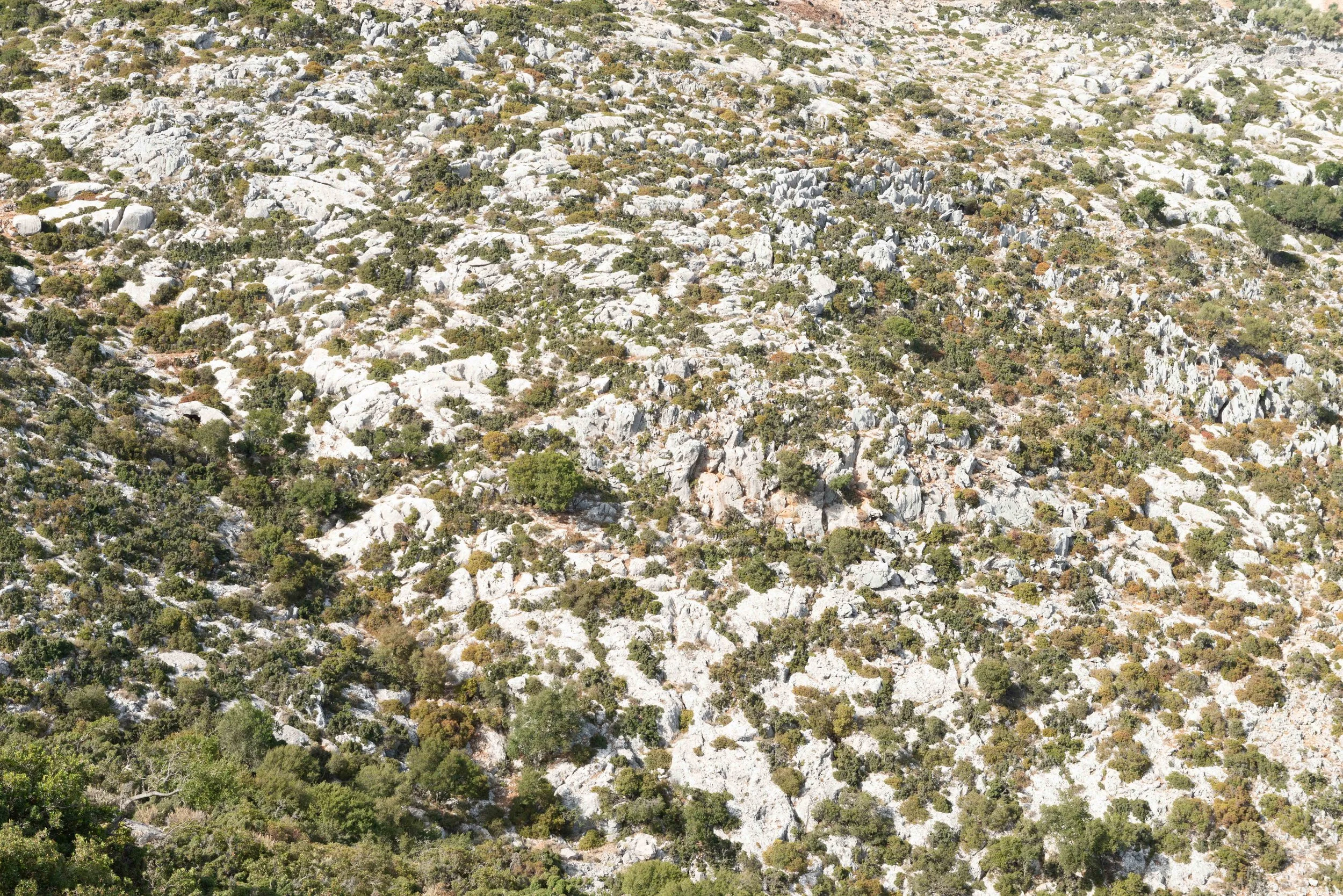 06_Paradise is Personal_Aniko_Antalfi.JPG