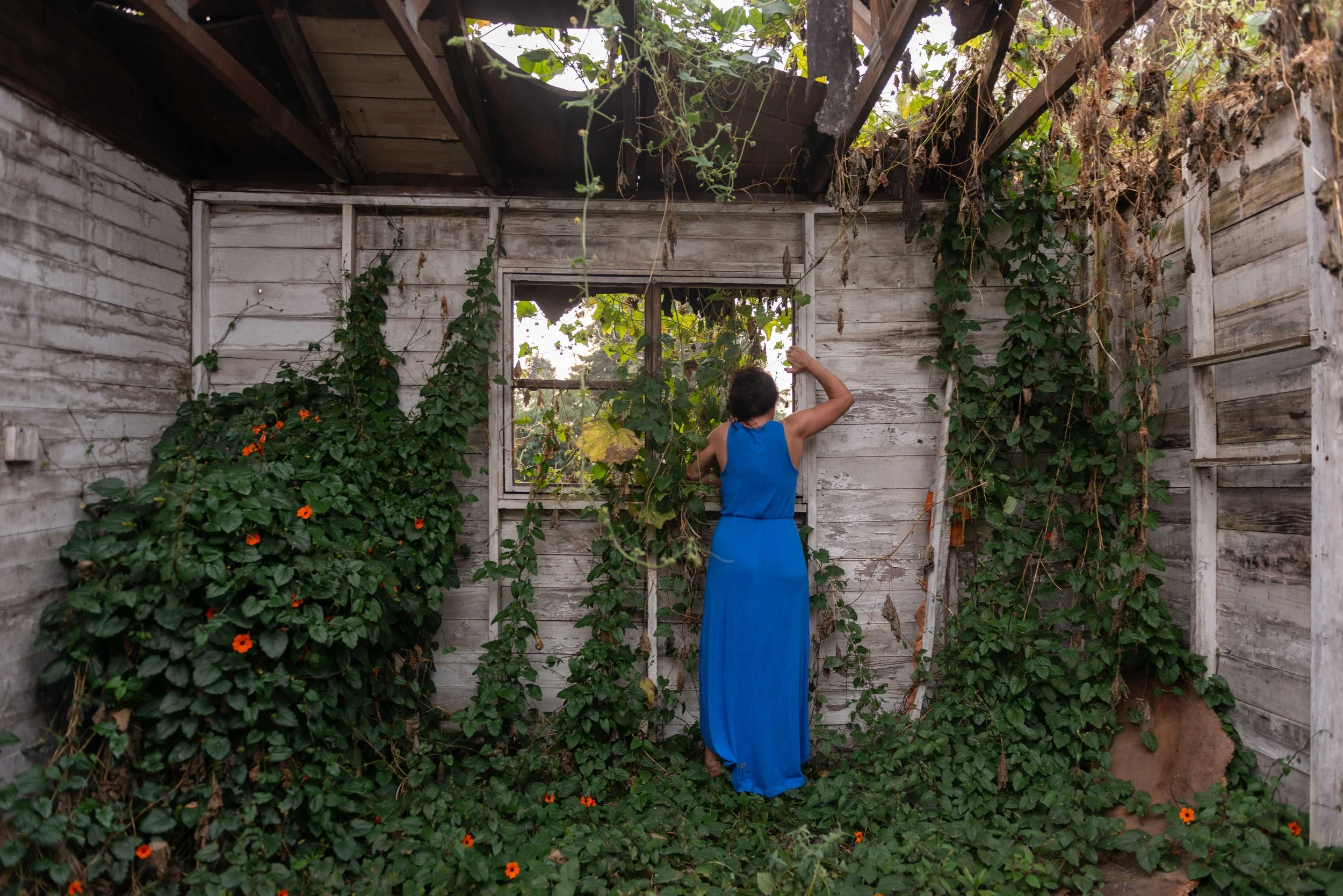 08_Paradise is Personal_Aniko_Antalfi.JPG