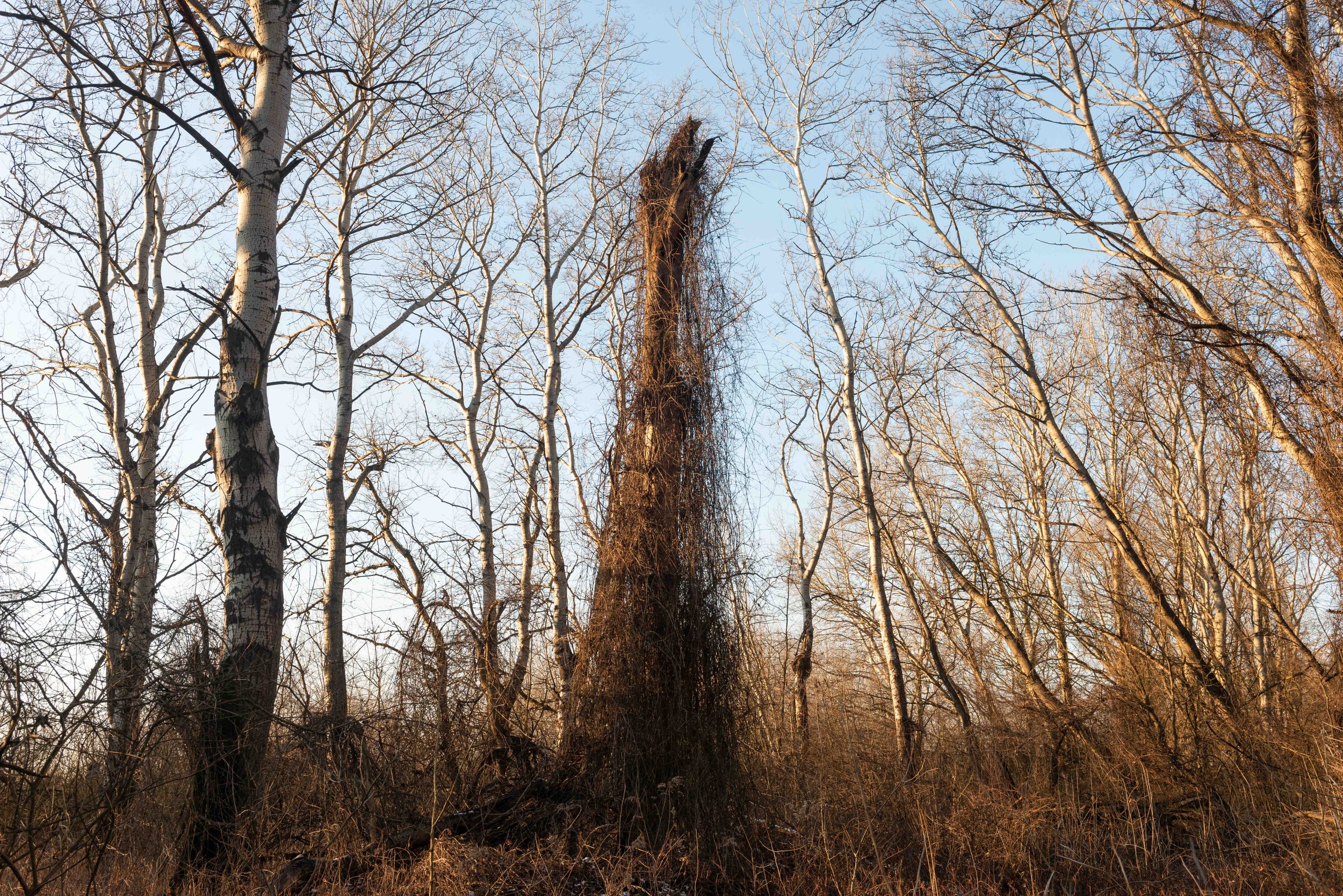 09_Paradise is Personal_Aniko_Antalfi.JPG