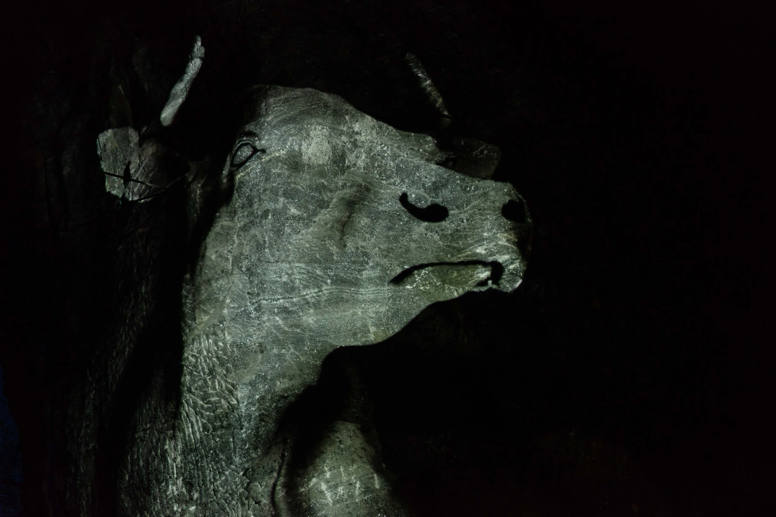 12_Paradise is Personal_Aniko_Antalfi.JPG