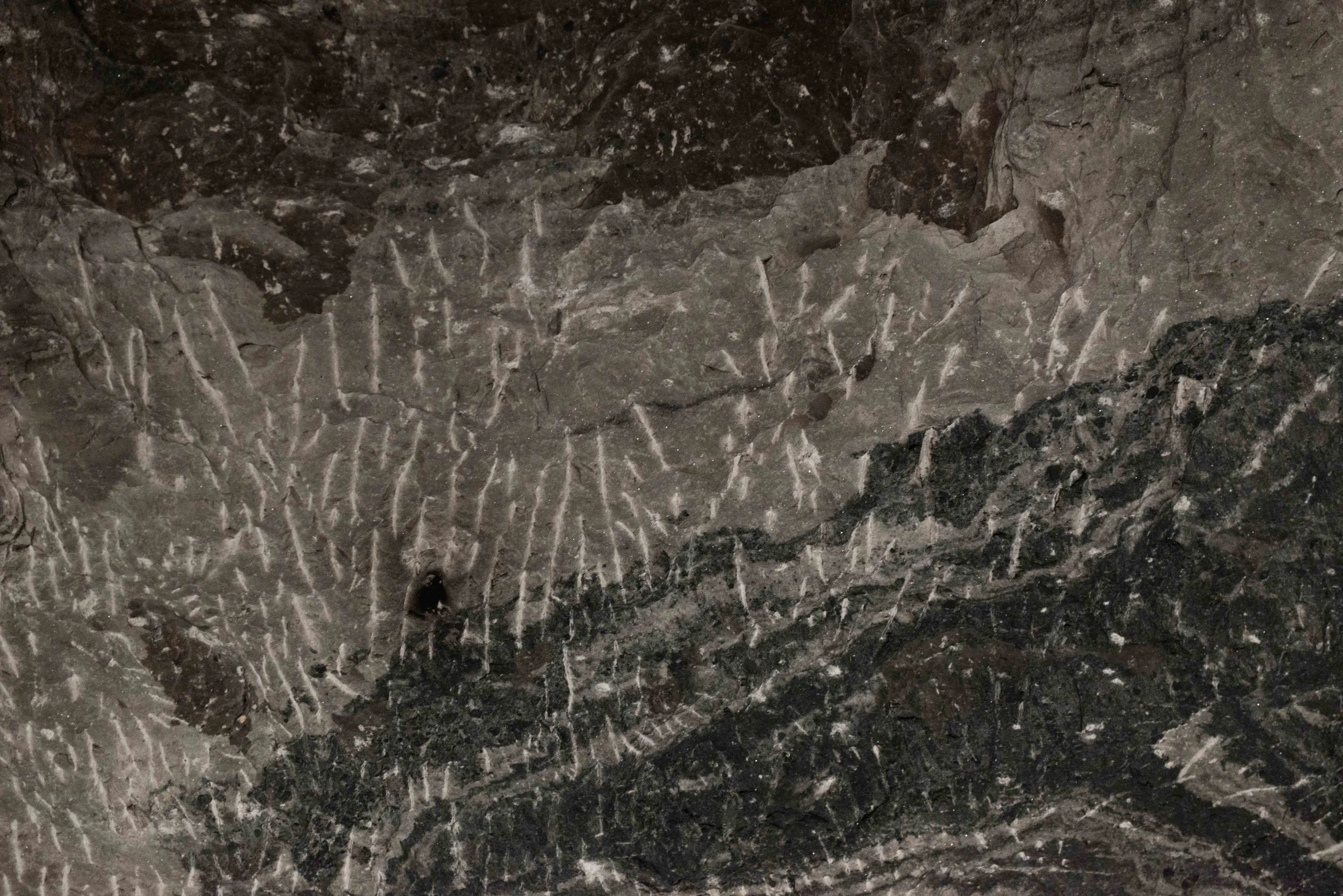 14_Paradise is Personal_Aniko_Antalfi.JPG