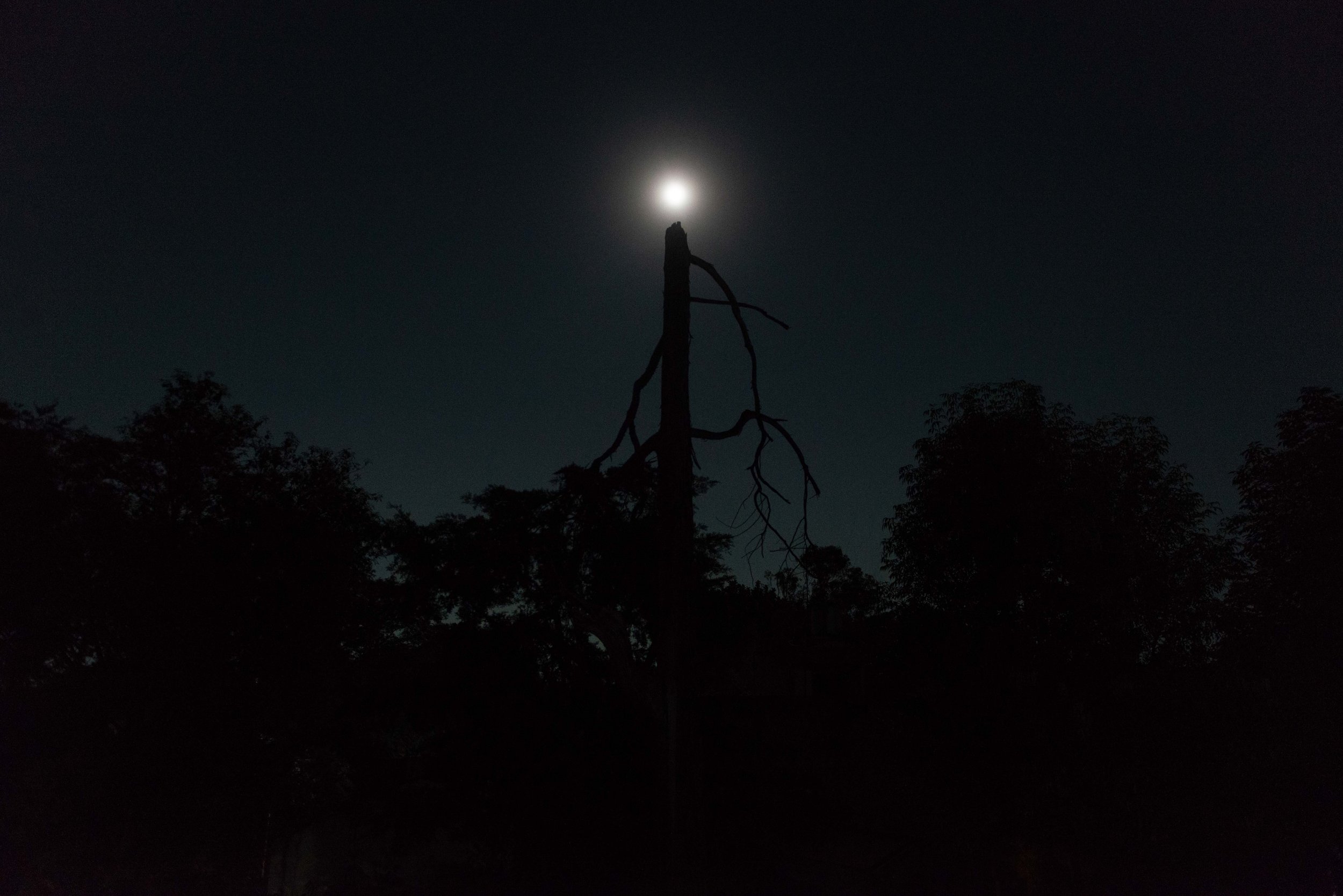 15_Paradise is Personal_Aniko_Antalfi.JPG