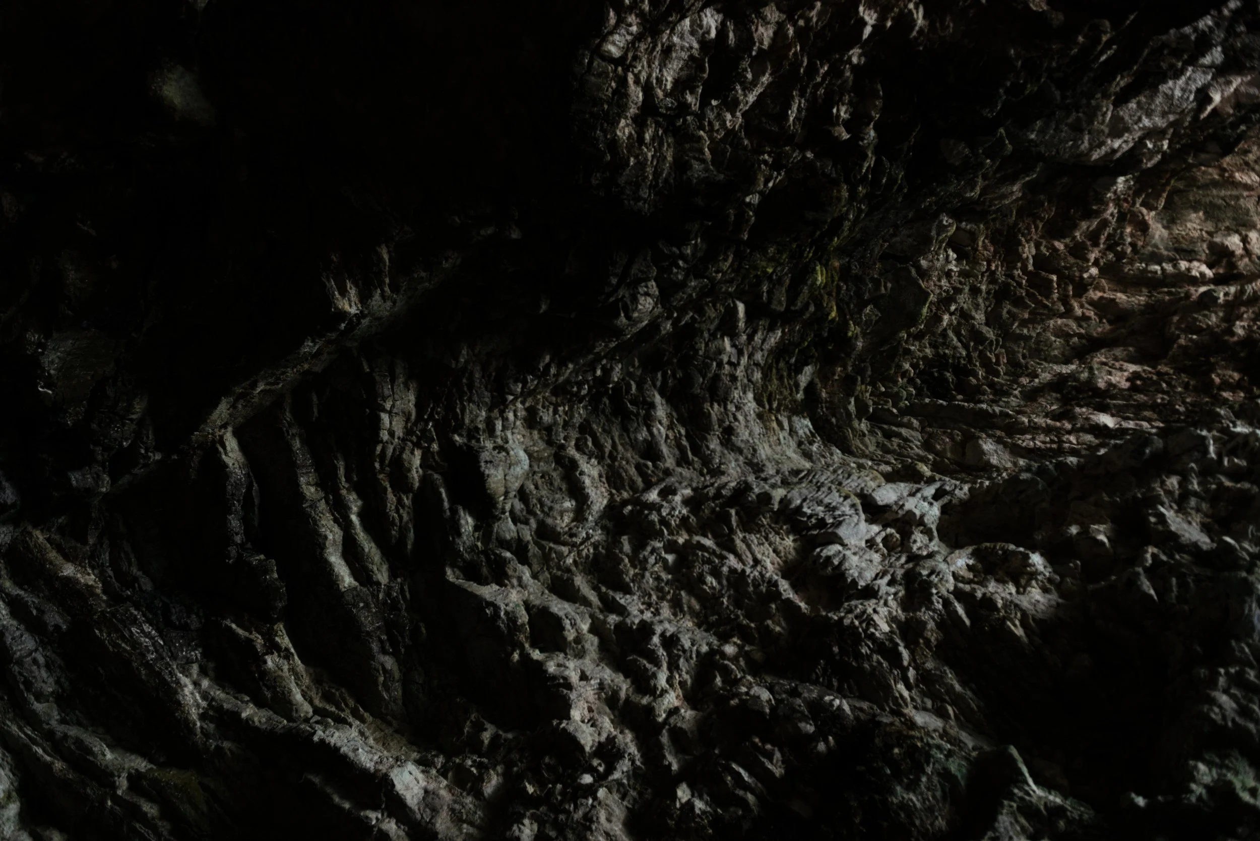 16_Paradise is Personal_Aniko_Antalfi.JPG