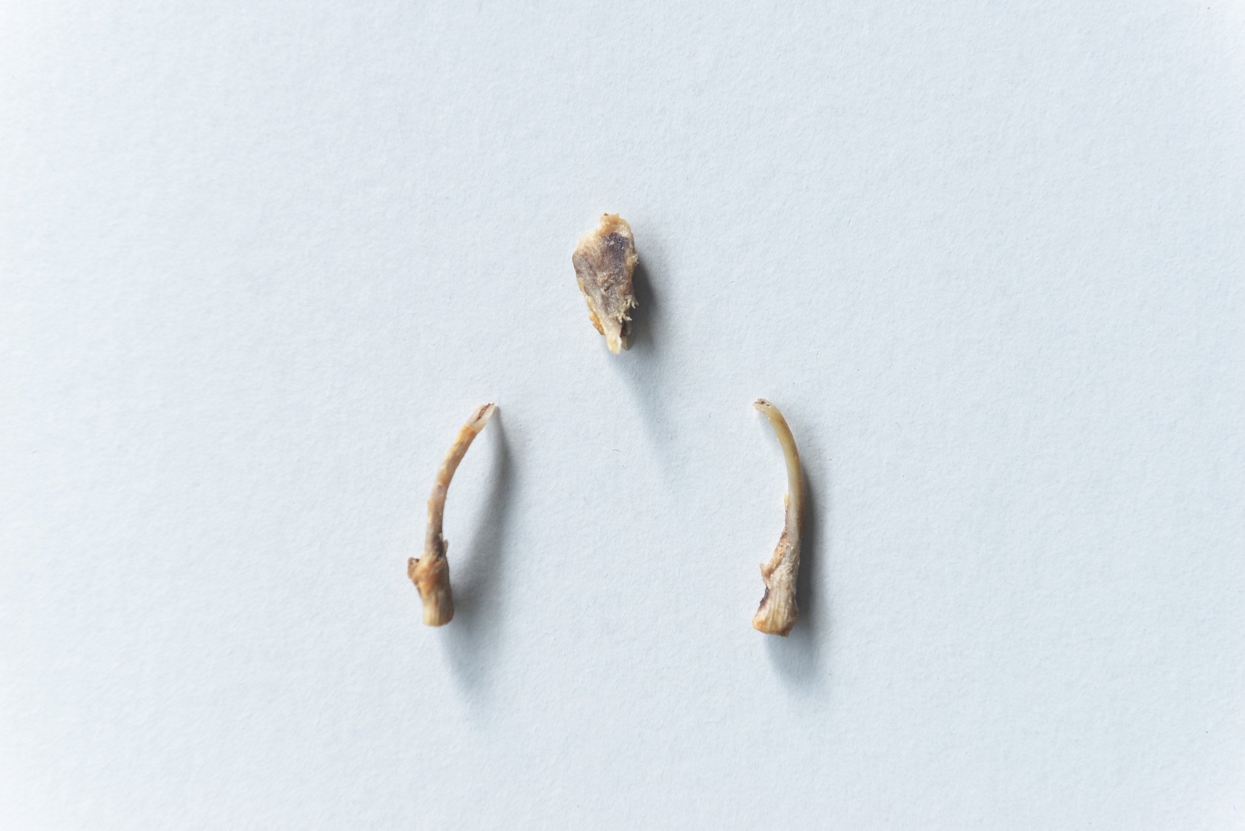 18_Paradise is Personal_Aniko_Antalfi.JPG