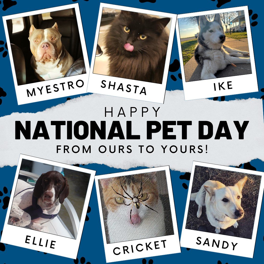 It's National Pet Day! Today we wanted to celebrate the pets of Blue River EyeCare.

We'd love to see your pets too! Post a picture of your pet in the comments so we can show them some love. ❤️🐾
#BlueRiverEyeCare #MarysvilleKS #NationalPetDay