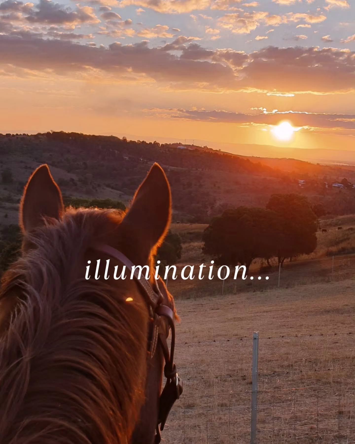 If you have a similar story, feel free to share in the comments! ♡