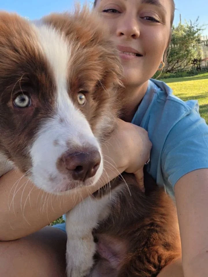 We're back!!
I realise I was a bit mean and I went on a social media break at the peak of my dog's cuteness. So to make up for it here are some doggo pics from the last few weeks. ALSO a squizz at the fun patterns I've been working on. 🤩