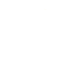 Married to the Games