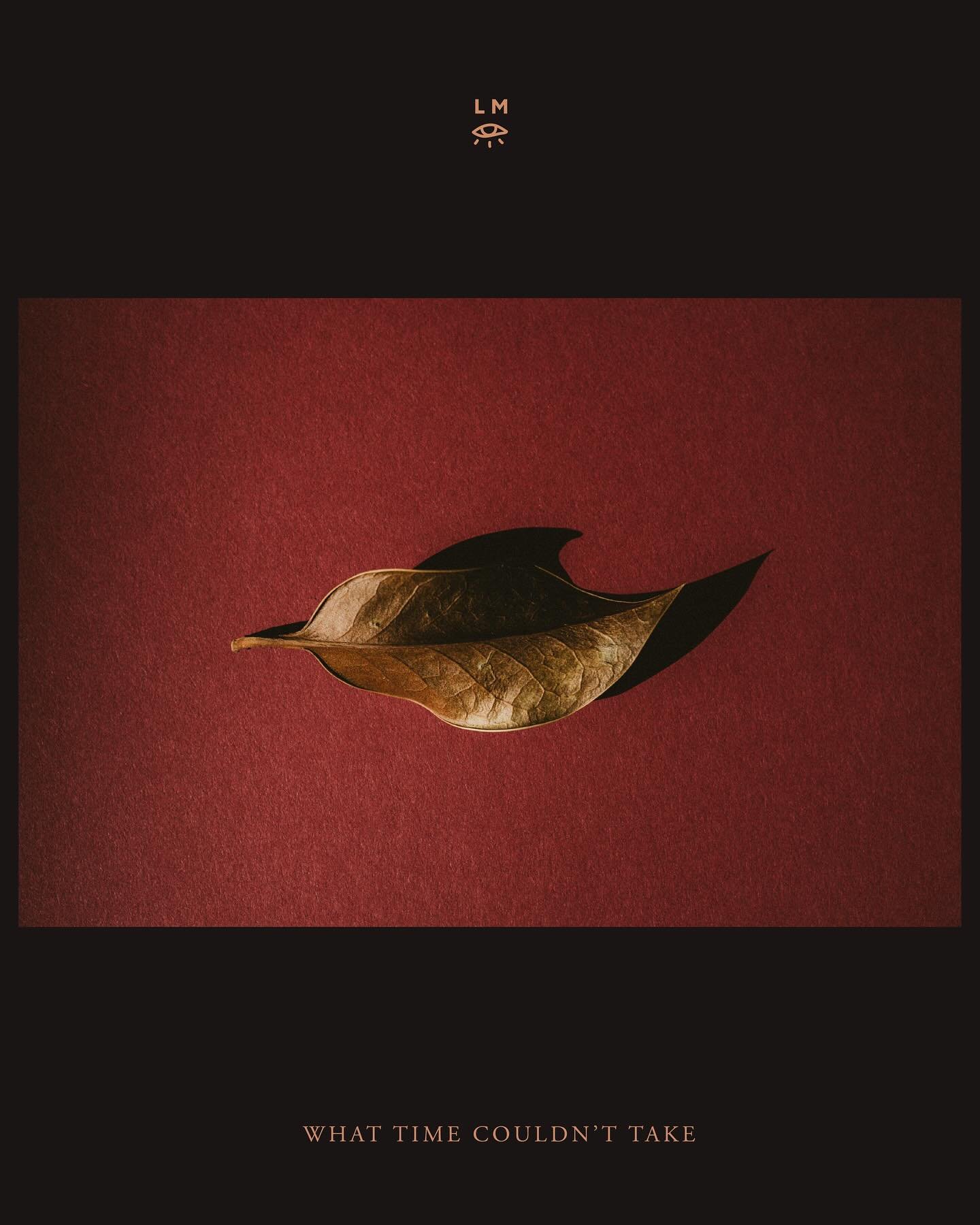 I&rsquo;ve been saving these dry leaves in a drawer for quite some time. I finally found the time to photograph them. I&rsquo;m kind of in love with how this turned out 😍 I don&rsquo;t think I&rsquo;ll ever stop marvelling at nature&rsquo;s forms an