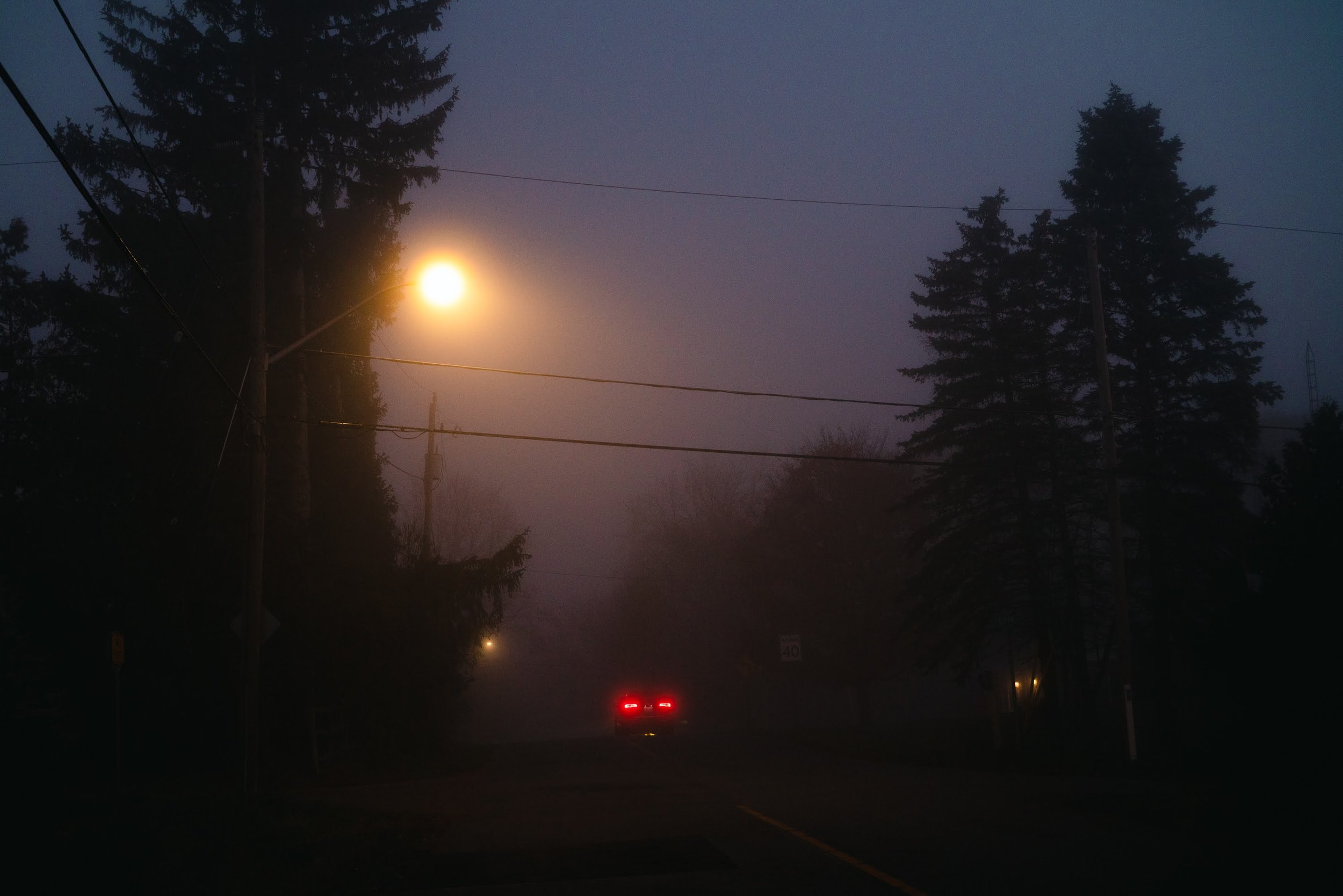 DSC05571.jpg