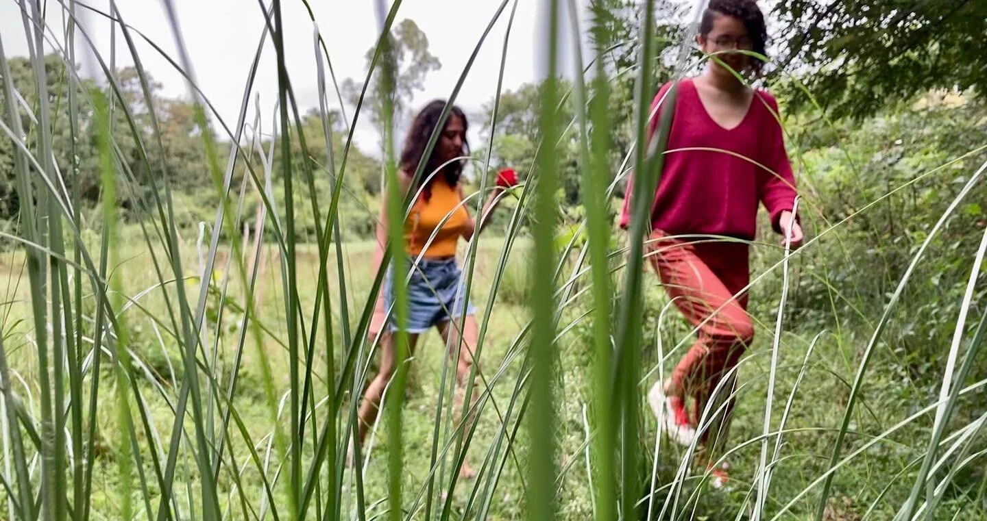 With magical mornings at @theelephantpond, you can find beautiful spaces around the lake for that morning coffee. Get away from the hustle bustle of Bangalore and get back to basics with tenpy. #unplugwithtenpy #tinyhouse #lakeview #rainymorning #con