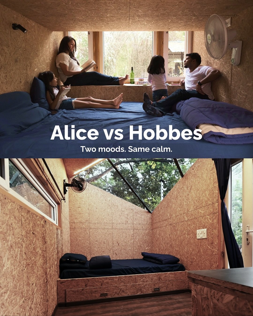 Two cabins. Same kind of calm.

At Tenpy, each cabin tells a different story.

In Tiny Alice, calm comes with movement: long walks, quiet adventures, muddy feet, and moments that make you feel alive again.
In Hobbes, calm feels slower: a book, a cup 