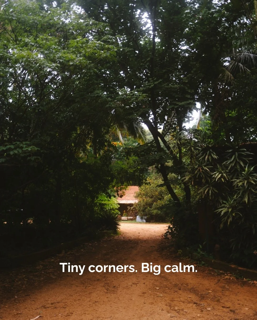 Sometimes it isn&rsquo;t grand getaways that change you&hellip; 
It&rsquo;s the quiet pockets of stillness you stumble into.

A sun-lit rock, a hidden path, a window that turns the world into a softer version of itself.

You sit, you breathe, and som