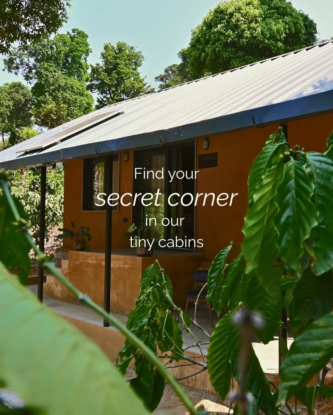 Every tiny cabin holds a little secret.

A quiet chair by the window.
A sunlit step outside your door.
A corner where your coffee tastes better, your journal feels heavier with thoughts, and time moves just a little slower.

In a small space, everyth