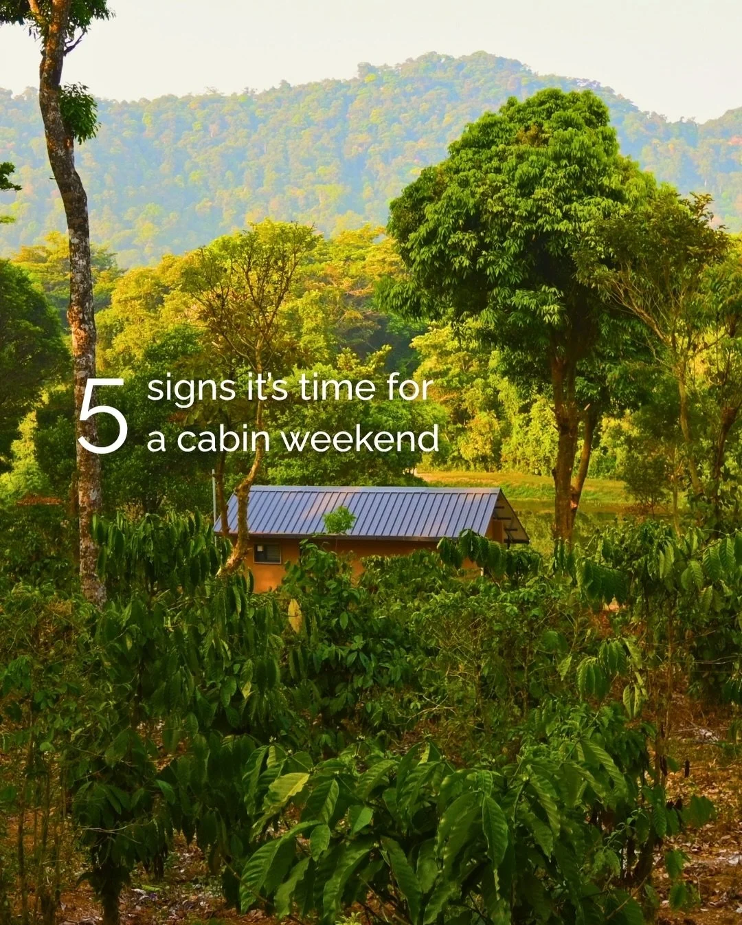 Not every trip is about doing more. Some are about finally doing less and meaning it.

The tiny cabins by Tenpy is where you step out of the rush and into something slower, softer, and more intentional.

No packed itineraries, no pressure to &ldquo;m