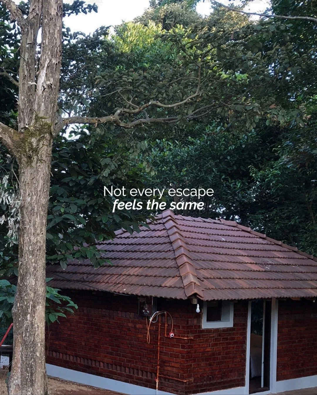 Not every escape feels the same. Some just fit the mood you didn&rsquo;t know you needed.

Every tiny cabin by Tenpy is a different kind of pause.
A different rhythm. A different version of you.

Tiny Hobbes, near Bannerghatta in Karnataka, for muddy