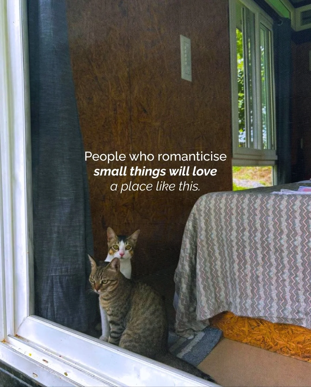 Some places don&rsquo;t ask you to do more. They quietly remind you how good it feels to do less.

At our tiny cabins, the days move slowly while you drink coffee by rain-soaked windows, have conversations that drift without urgency, bring your cats 