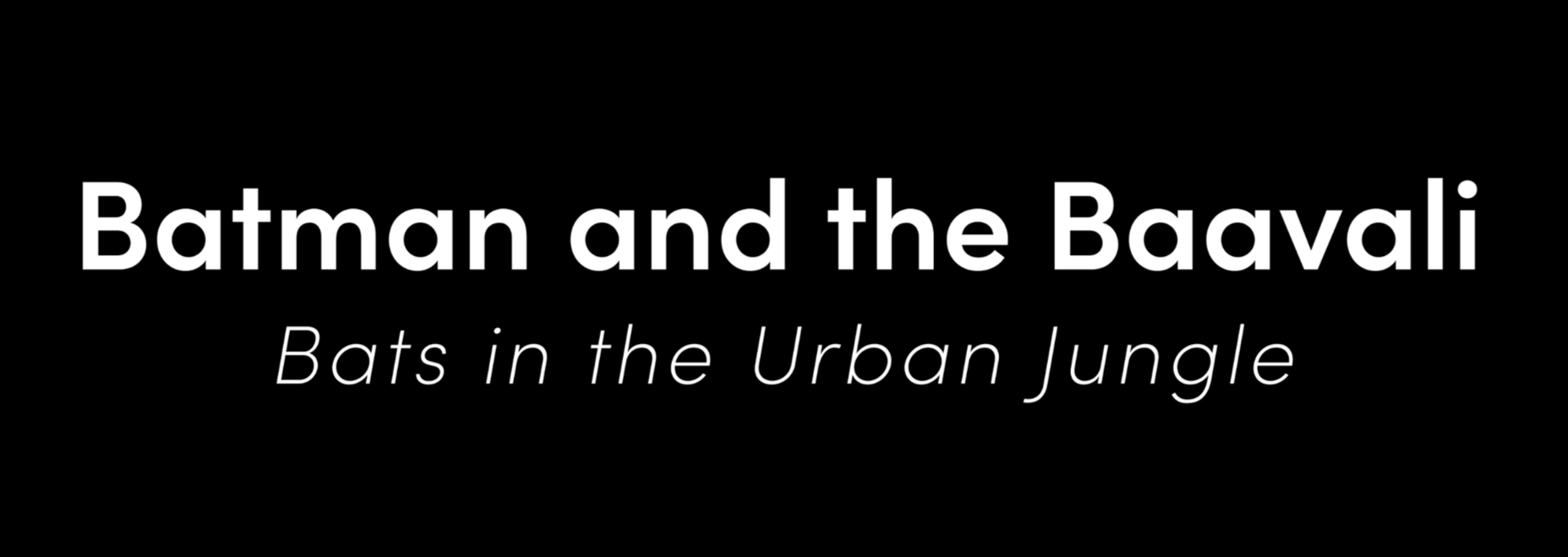 While Bengaluru races by day, its nights belong to the bats. Join bat conservationist Rohit Chakravarty from Nature Conservation Foundation (NCF) and Bat Conservation International (BCI), as he takes on the night shift to look for woolly-nosed bats, 