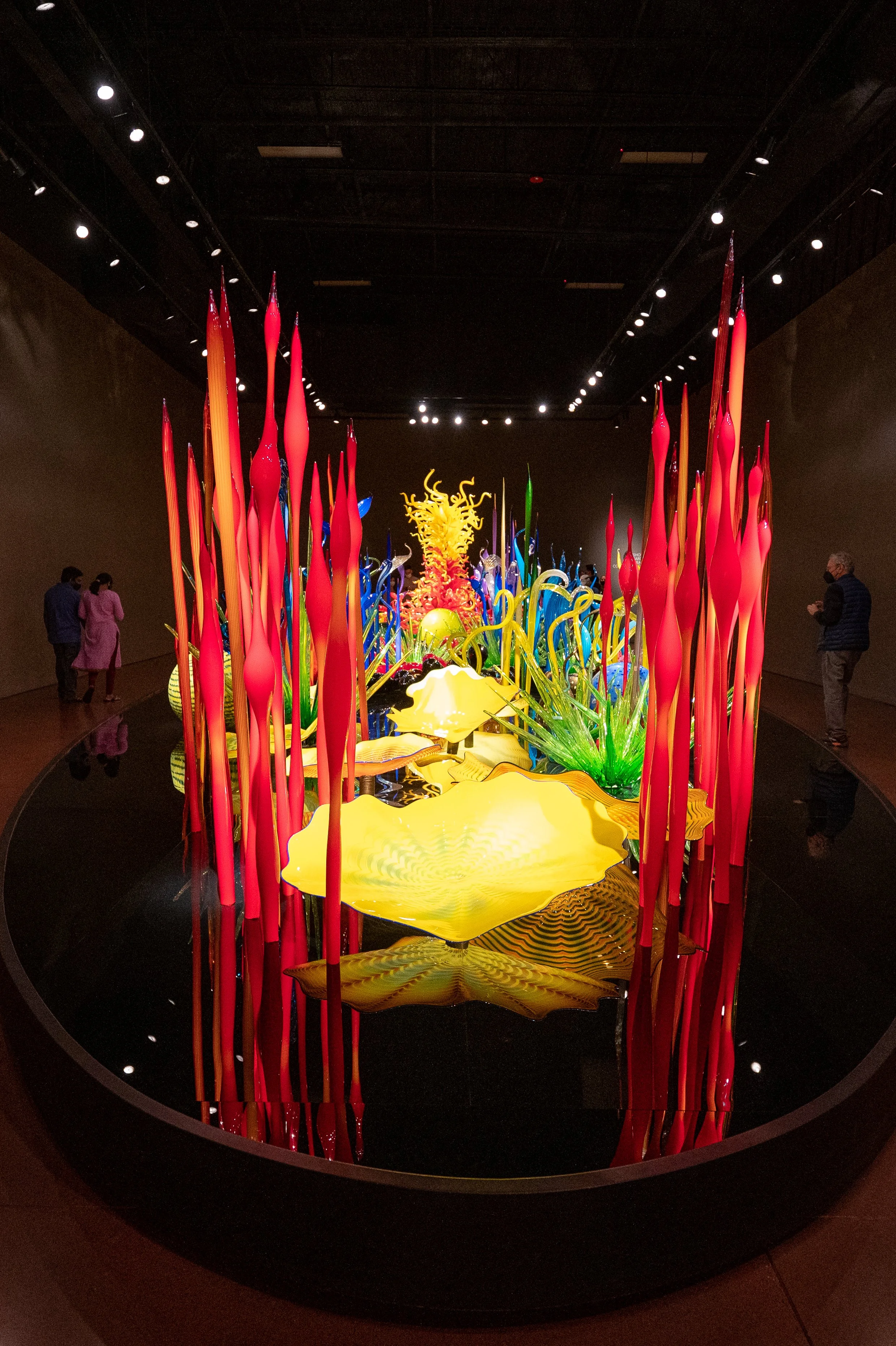 Chihuly.jpg