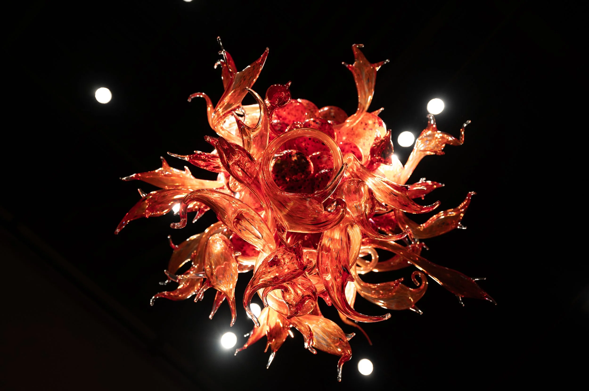 Chihuly-4.jpg