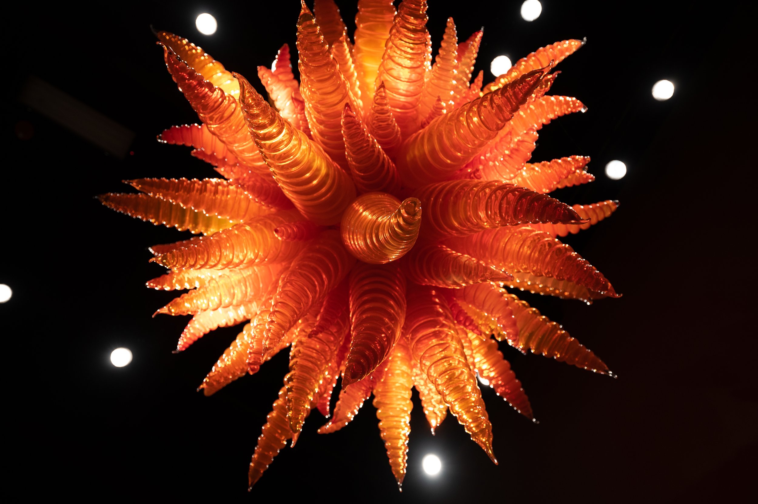 Chihuly-3.jpg