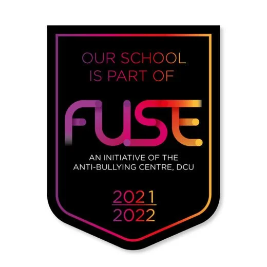 FUSE- Post-Primary Anti-Bullying and Online Safety Programme