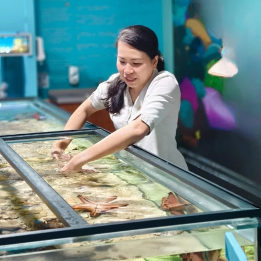 A woman at an aquarium touching marine animals in a glass tank.