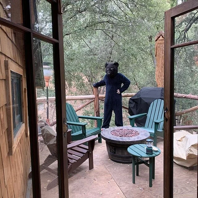 Short weekend vacation for the bear. #loglady #lodge #bearsuit