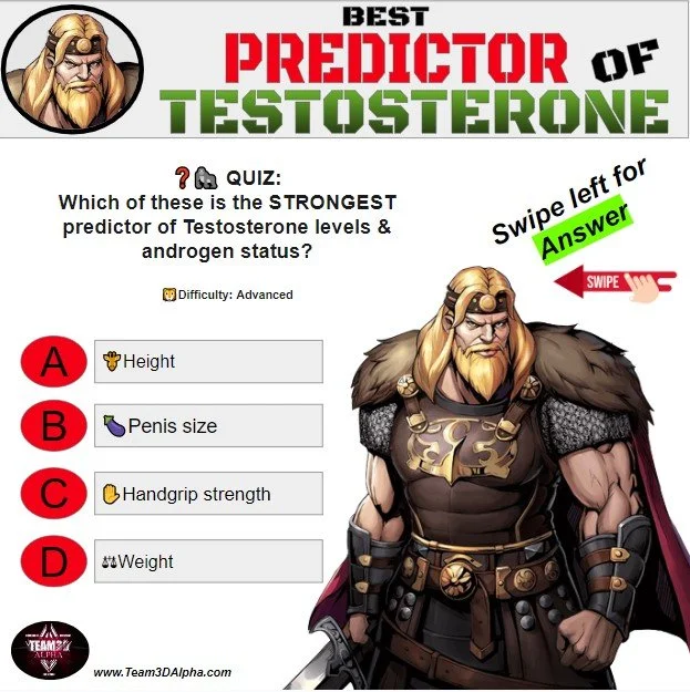 Hand Shape Testosterone 🦍Handgrip Strength Predicts Testosterone levels? — Team3DAlpha