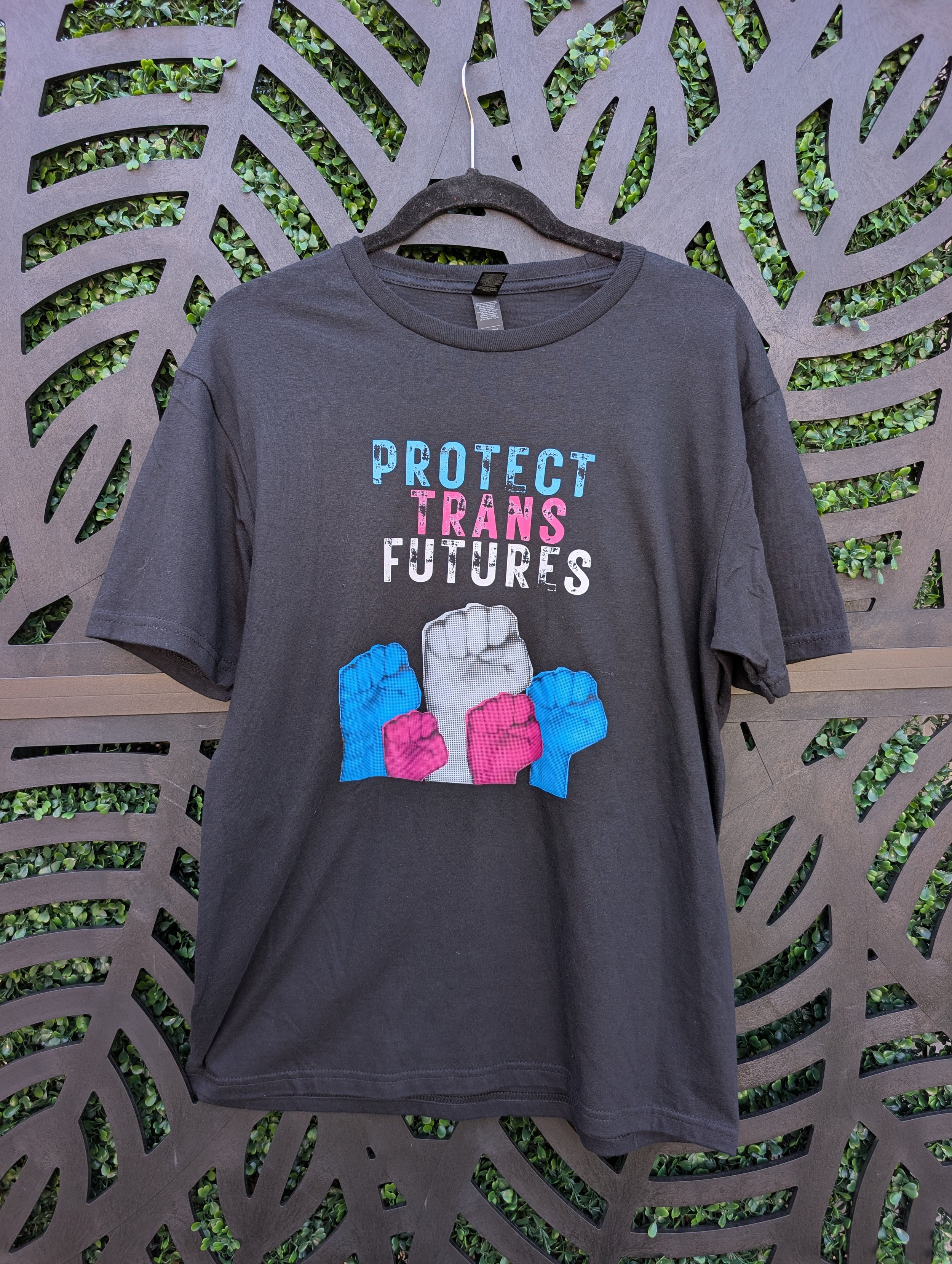 Protect Trans Futures.jpg