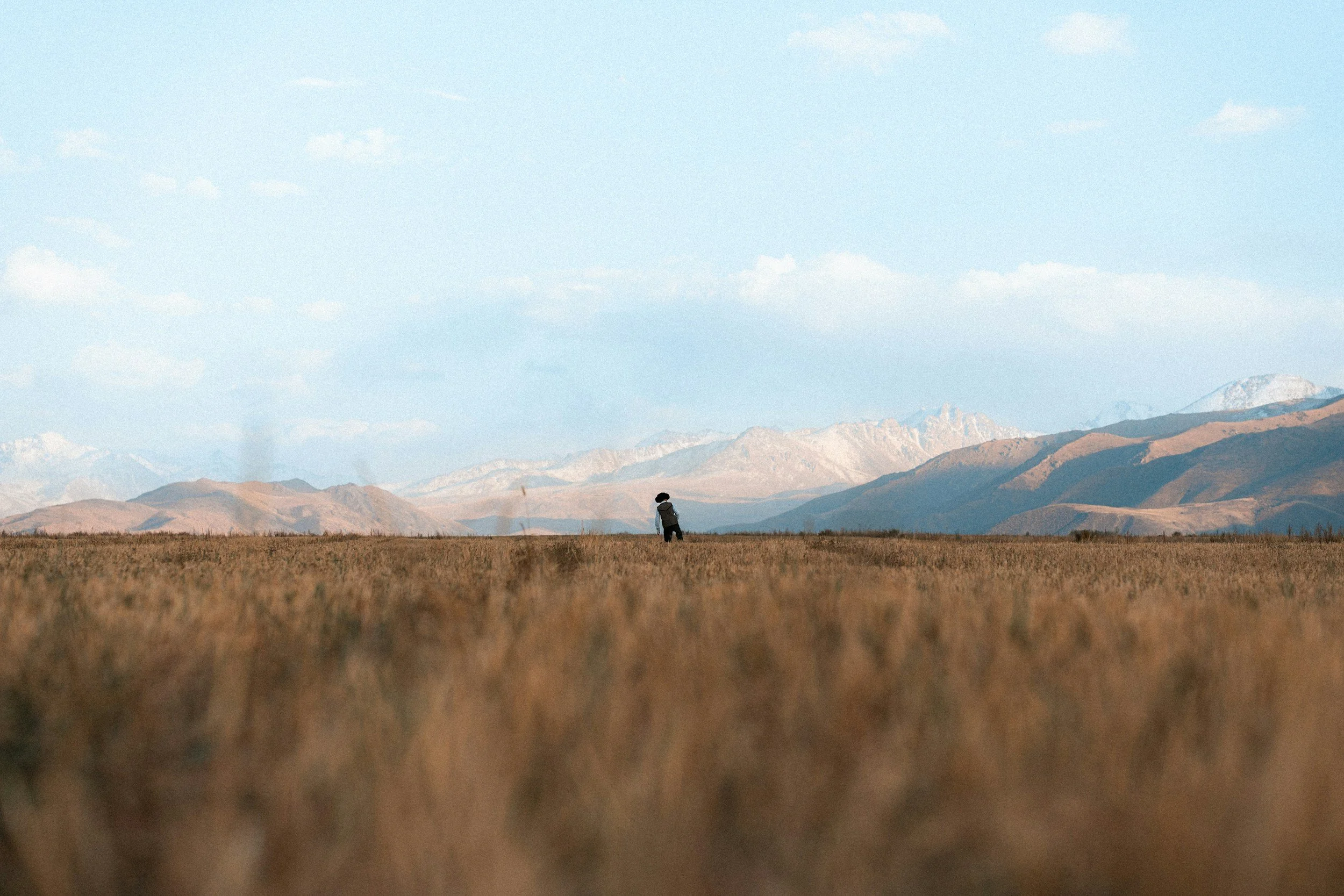 Curiosity is the most important trait of a CEO