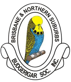 Brisbane &amp; Northern Suburbs Budgerigar Society Inc