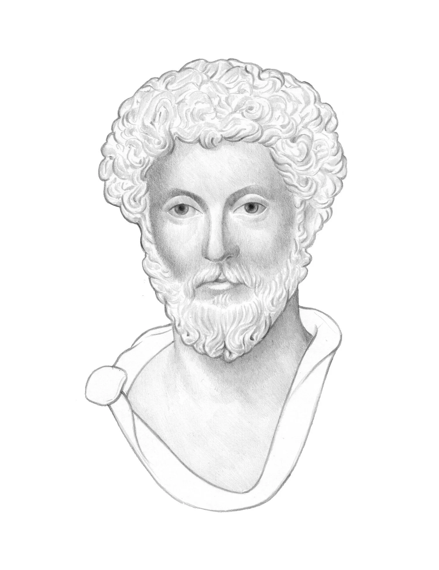 aristotle_update1_.jpeg