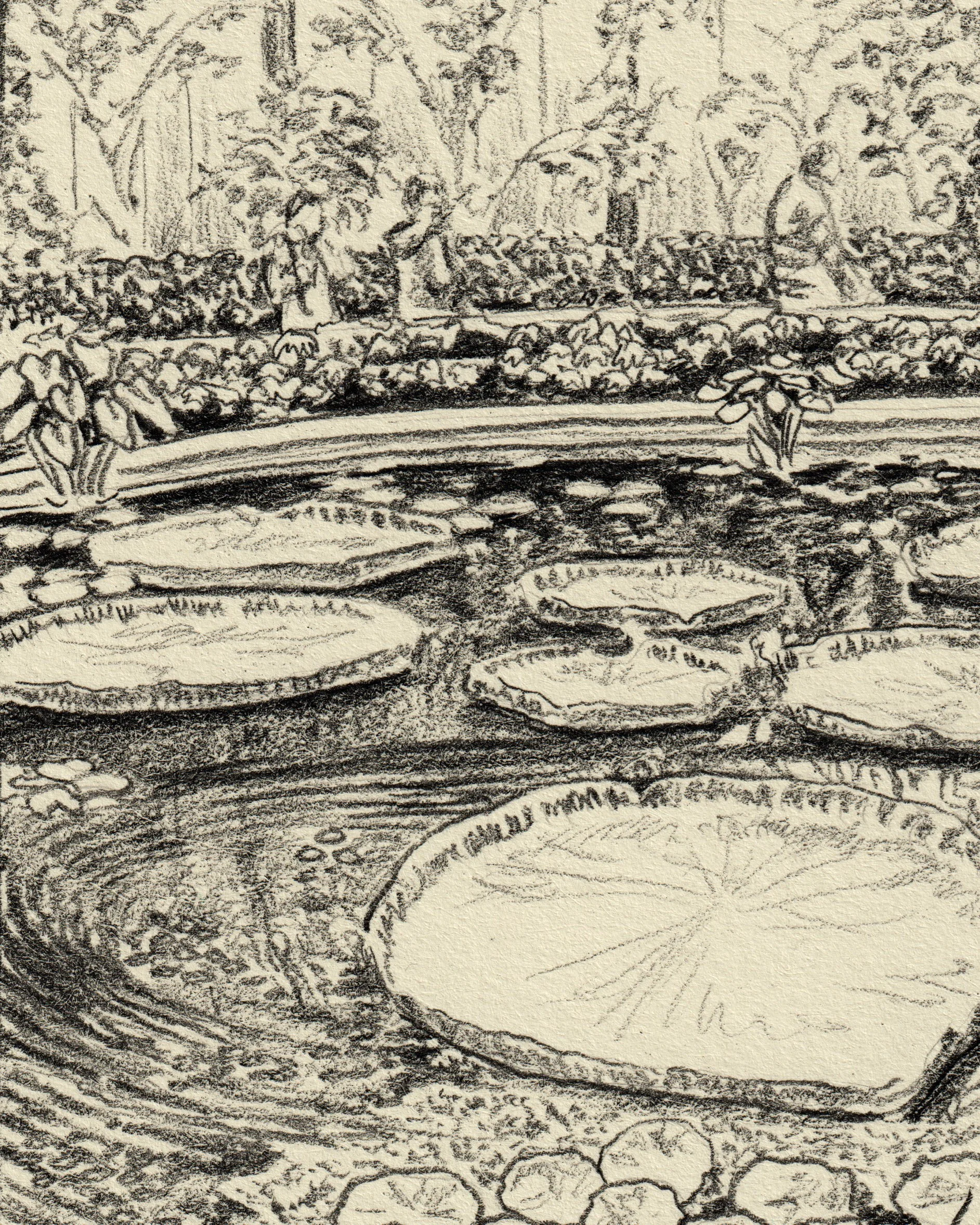 lilypads_closeup.jpg