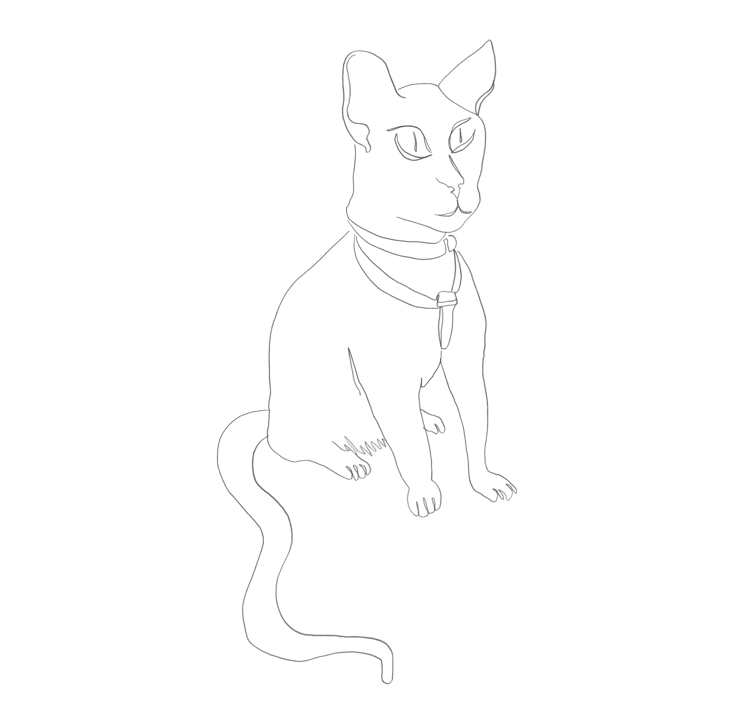 cat_lines.jpg