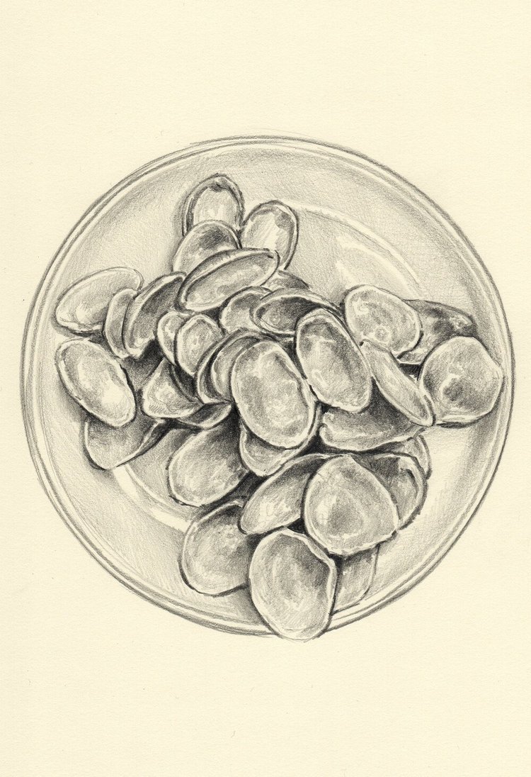 sketch19.jpg
