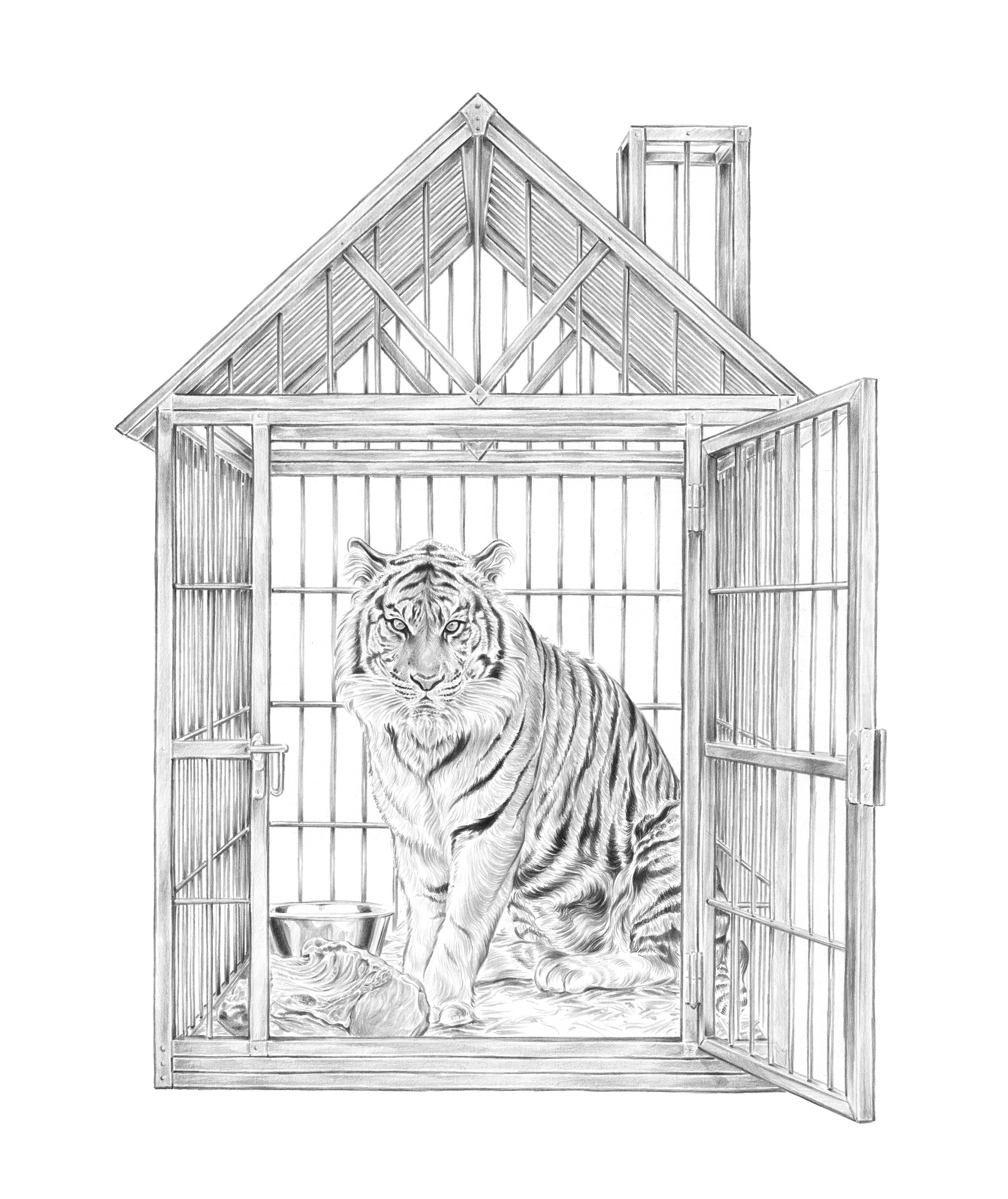 tigercage_final_m.jpg