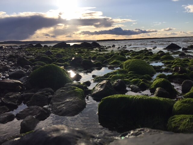 Budle Bay
