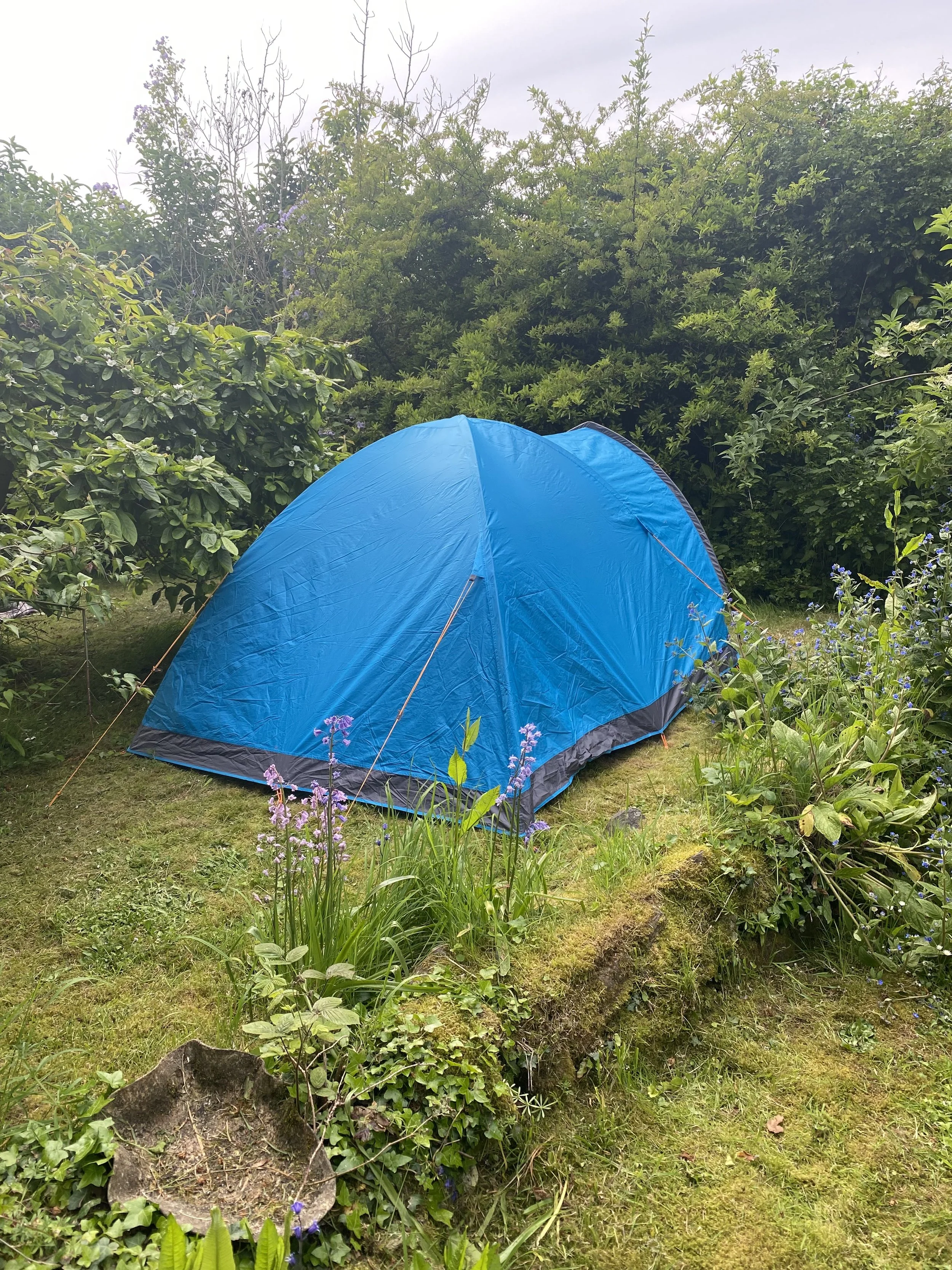 Example of tent pitch, Pitch 3 - Secret Garden Camping, Budle Hall, Bamburgh
