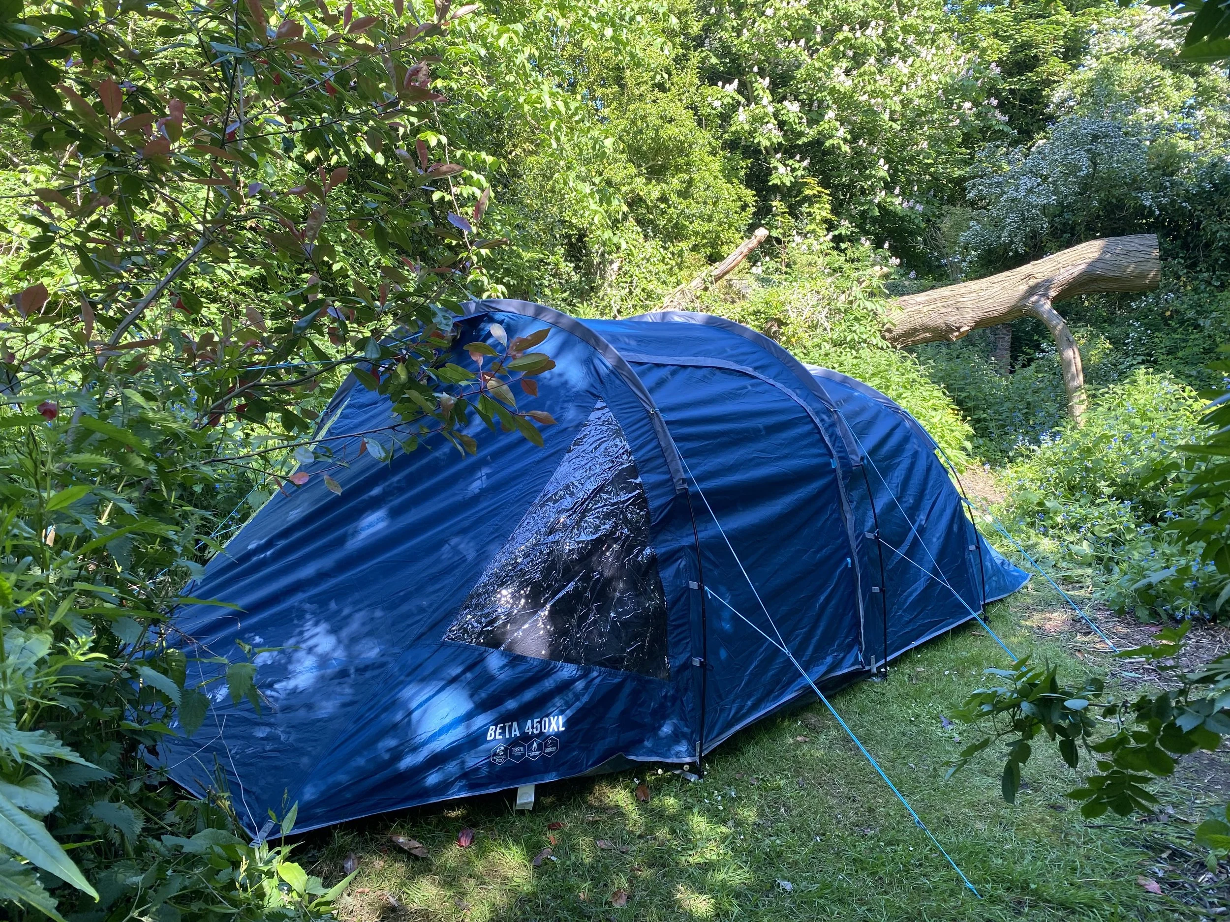 Example of tent pitch, Pitch 3 - Secret Garden Camping, Budle Hall, Bamburgh