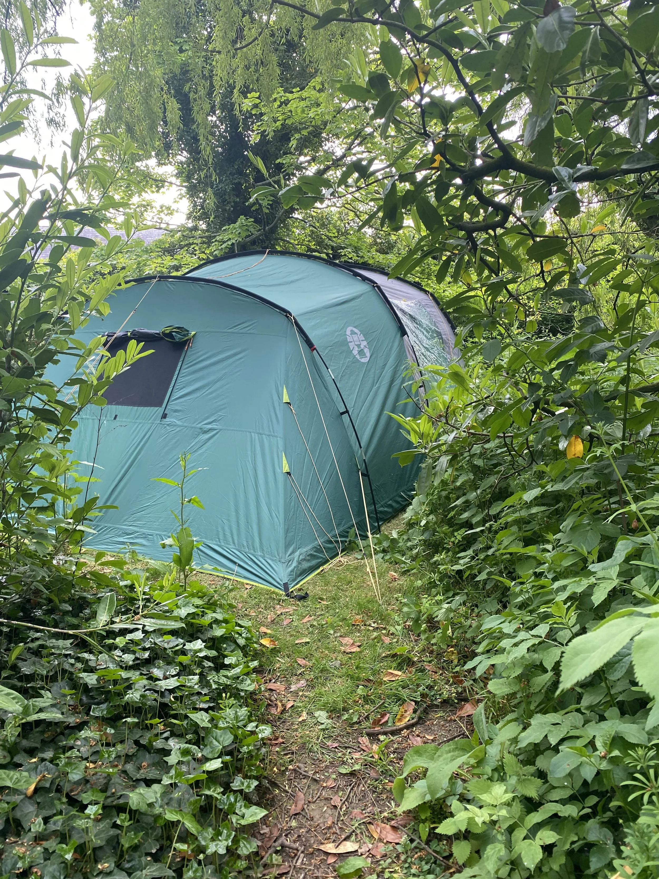 Example of tent pitch, Pitch 3 - Secret Garden Camping, Budle Hall, Bamburgh
