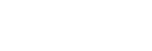 BYD_500x170.png