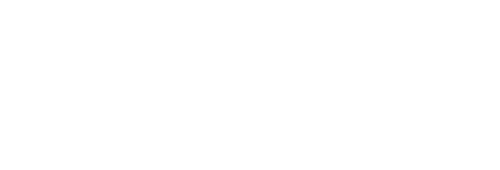 pony.ai_500x170.png