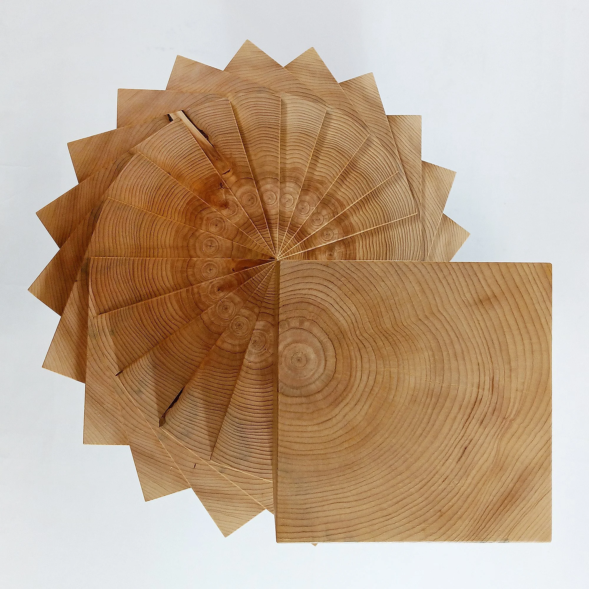 migliodesign-round-trip-cedar-tabletop-sculpture-9.jpg