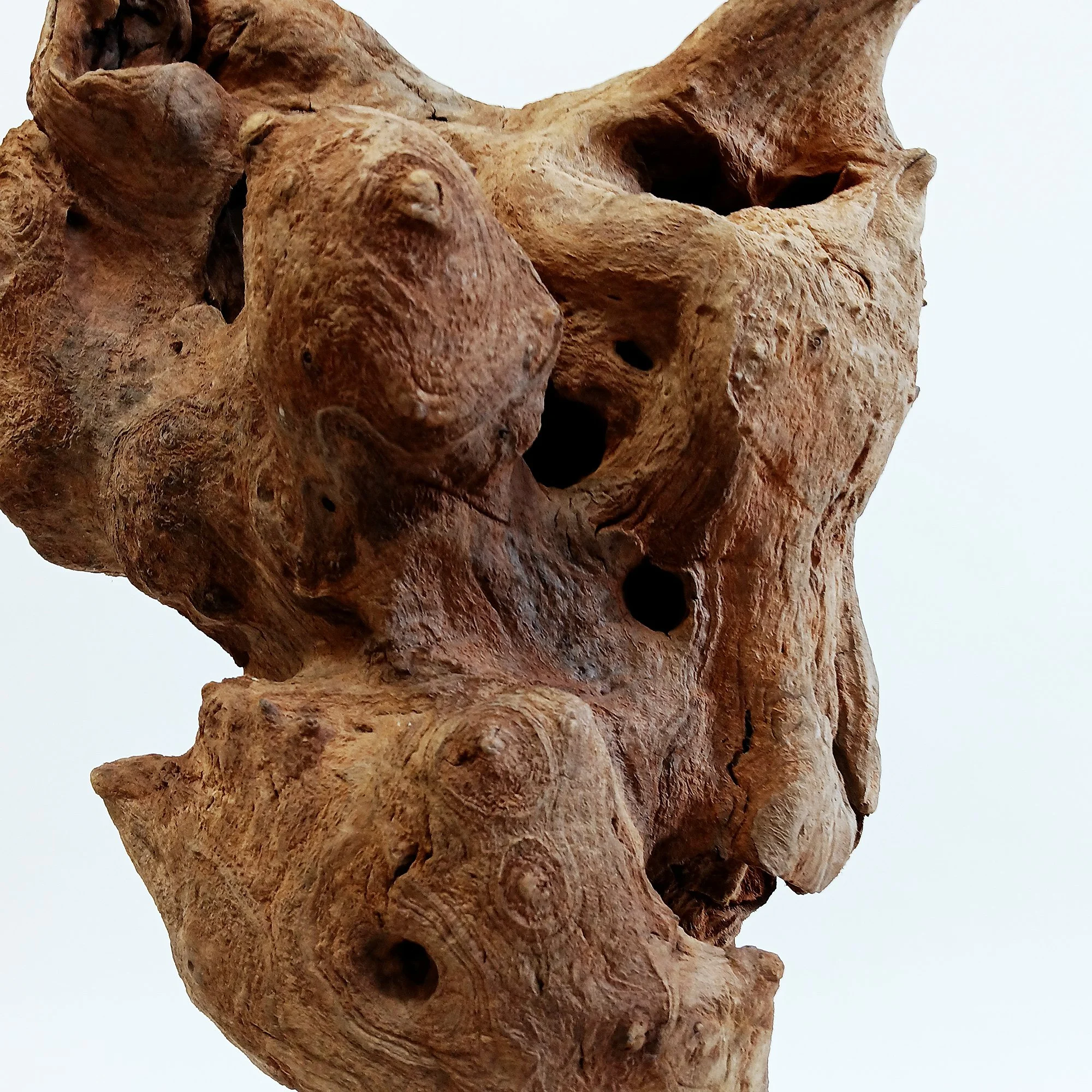 migliodesign-missing-link-driftwood-table-sculpture-6.jpg